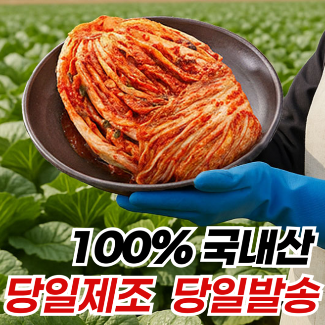 연두명가 당일제조 국산 배추 포기 김치, 1박스, 10kg