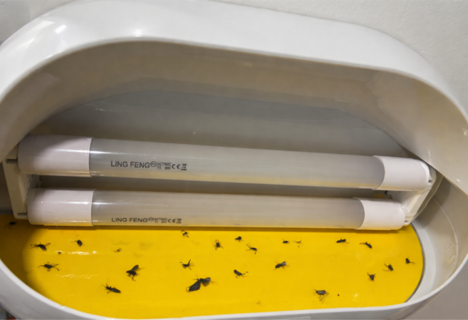 국내 KC 인증 LED 전기 모기퇴치기 가정용 업소용 벌레 날파리 나방 해충 포충기, TB-760