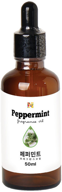 페퍼민트 프래그런스 오일 원액, 1개, 50ml, 페퍼민트_13600
