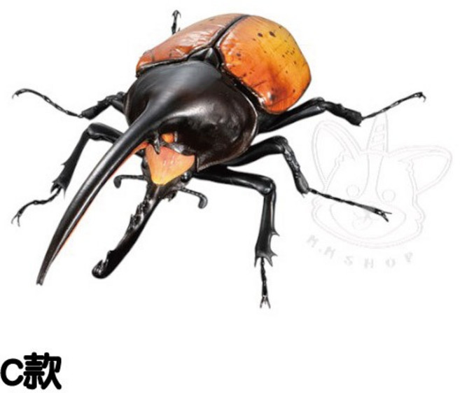 BANDAI 轉蛋扭蛋 生物大圖鑑進擊 大象兜蟲 昆蟲模型 全4款 C款 長戟大兜蟲1B162, 1個, C款/長戟大兜蟲1B162