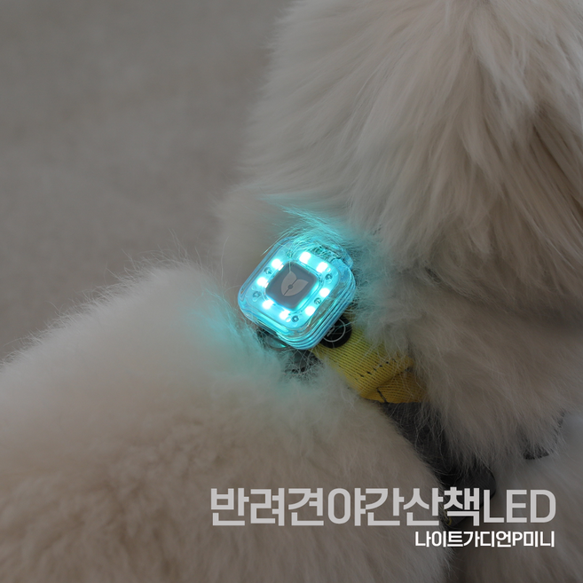 나이트가디언P 야간 산책 LED 랜턴 목걸이 USB 팬던트 방수 후레쉬 강아지 멍멍이 소형견 자체제작, 세모(블루)-1개, 1개