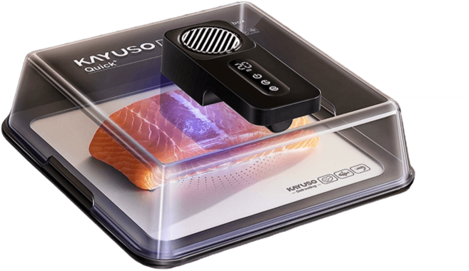 급속 해동기 냉동식품 해산물 스테이크 해동기계 가정용, 블랙