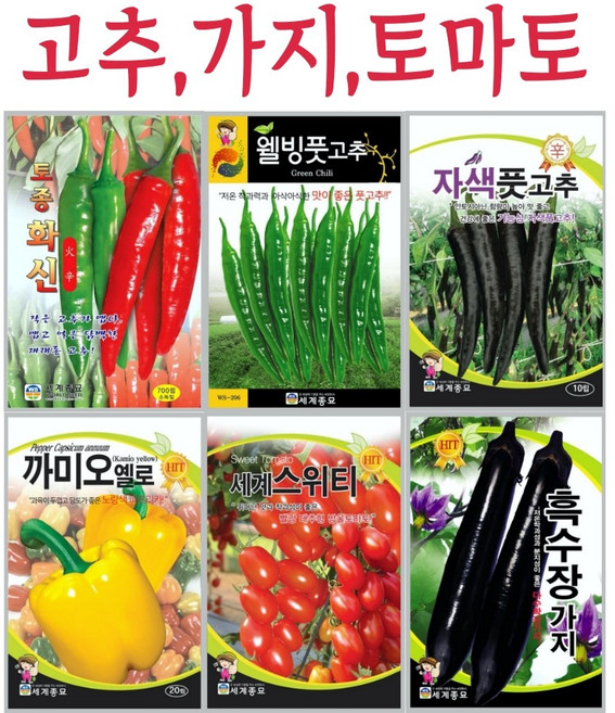 주주씨앗 가지과 과일채소 씨앗 20종 / 고추씨앗가지과 과일채소 씨앗 20종 / 고추씨앗 / 토마토씨앗 / 파프리카씨앗 / 가지씨앗, 19. 흑수장가지 100립, 1개