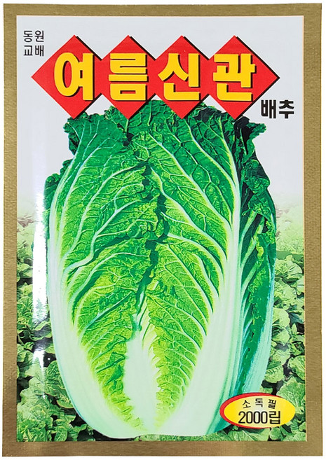 영농사 여름신관 배추씨앗 2000립 65일 봄여름 배추씨, 2개