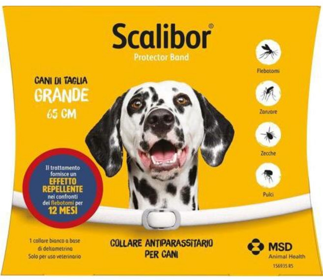 돌단비 강아지 유전자 검사 키트 혈통 DNA 테스트, 1개, 이탈리안 대형견 65CM