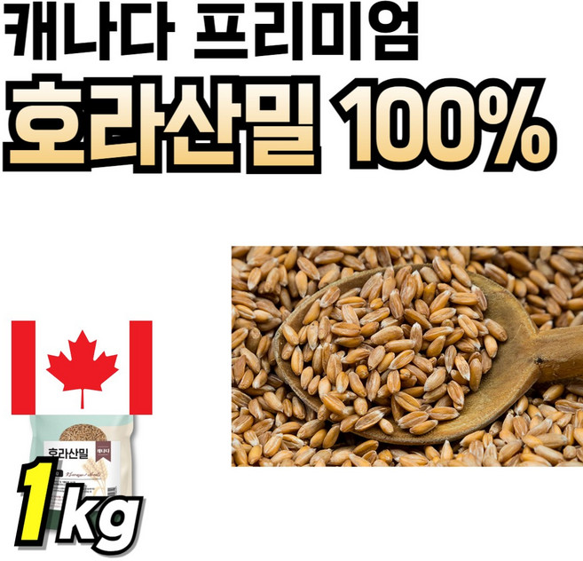식약청인정 호라산밀 타먹는 가루 60대 중년여성 식약처인증 부모님선물 간편한 골드 호라산 먹기쉬운 밸런스 프리미엄 스틱 파우더 마시는 카무드 분말 까무스 순수 카뮤트, 1개, 1kg