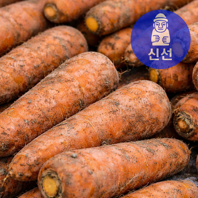 제주신선 구좌 당근 산지직송 재구매율1위, 1개, 10kg (왕)