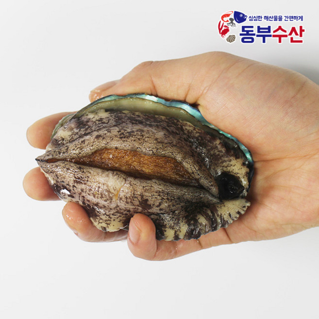 프리미엄 전복선물세트 6가지구성 대 특대 활전복 이바지전복, 대전복12마리 1.1kg내외, 1개