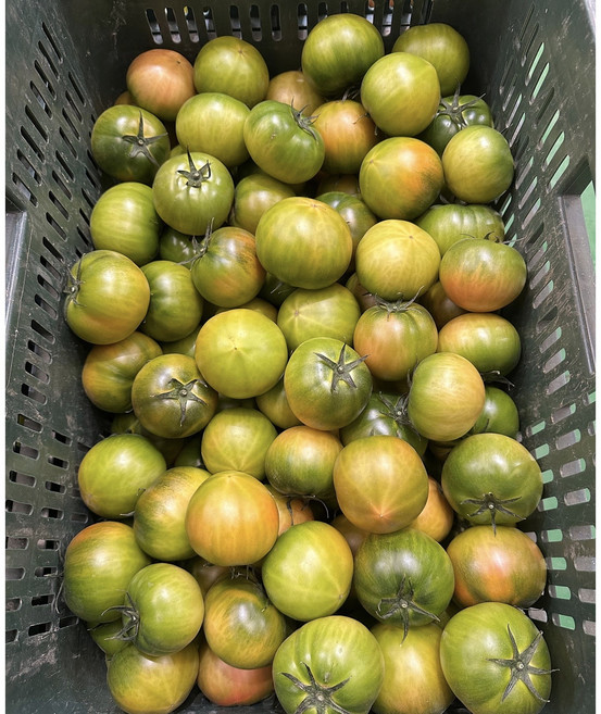 [협력농장 직송 특가]부산 대저토마토 짭짤이 2026년도 당도 8 이상(2.5kg + 2.5kg), 2개, 2.5kg (2L-L)