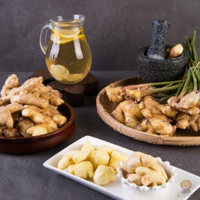 서산 황토밭 생강 10kg 초