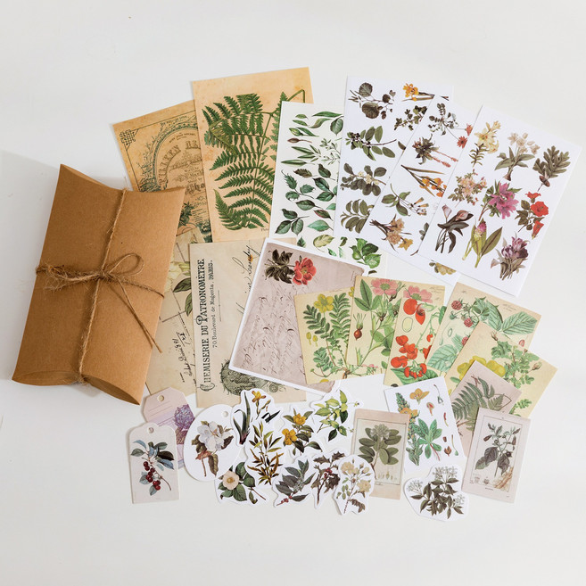 올리브파티 빈티지 감성 다꾸 스티커 배경지 30매 박스 패키지 세트, 2세트, 드라이플라워A