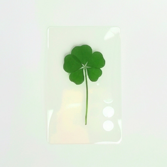 생생정보 푸드클로버 금전운 다섯잎클로버 코팅카드 투명1장, 봉투포함(황금), 봉투포함(황금), 1개