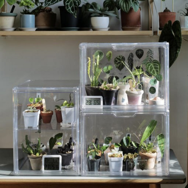 미니 온실 식물 투명 아크릴 소형 온실 유묘용 파종 삽수 케어용 보관함 패빗 대형