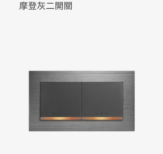 JYE中一 月光系列 金屬面板灰色開關含蓋板, 1個, 2切灰色