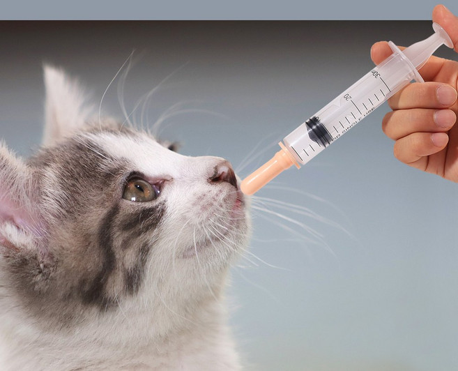 펫 젖병 약먹이기 실리콘 젖먹이기 이유식 반려동물 수유 주사기, 살구색, 1세트