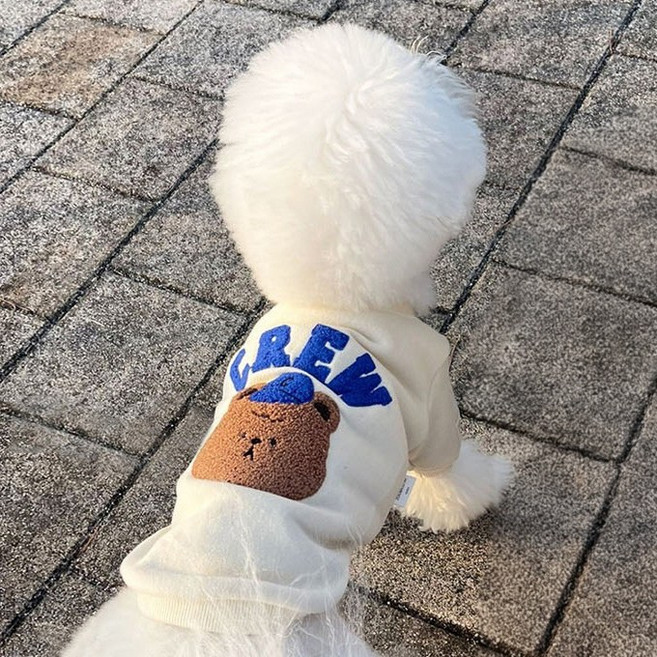 모자곰 맨투맨 티셔츠 강아지옷 봄옷, 1개, 아이보리