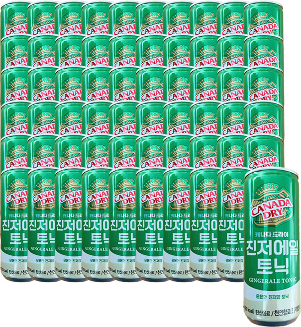 캐나다 드라이 진저에일 250ml 생강향 탄산 음료수 미니캔 믹서, 60개