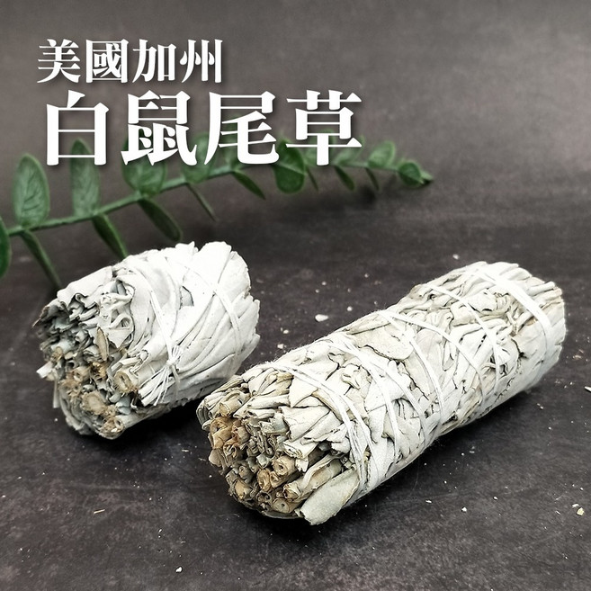 雨林薰舍 美國加州迷你白鼠尾草淨化棒，空間芳香淨化，居家辦公旅行適用，約5公分長, 1個, 迷你白鼠尾草