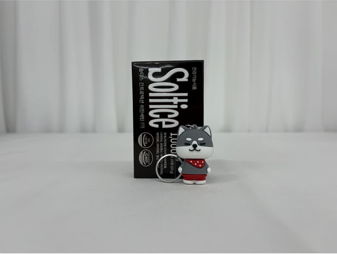 2026 간 프로텍션 쉬잔세틴 솔티 스 간에좋은 영양제, 3세트, 20정 - 쿠팡