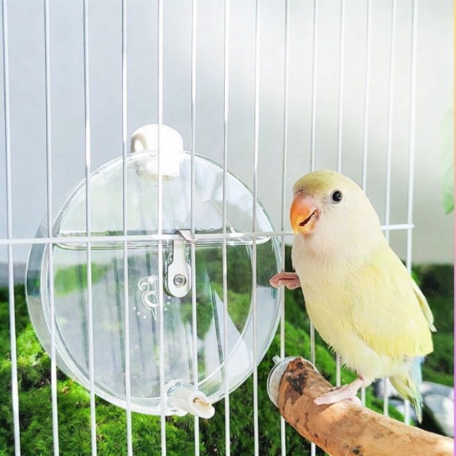 아우라펫 앵무새 급수기 대용량 물통 용품 250ml, 1개, 투명