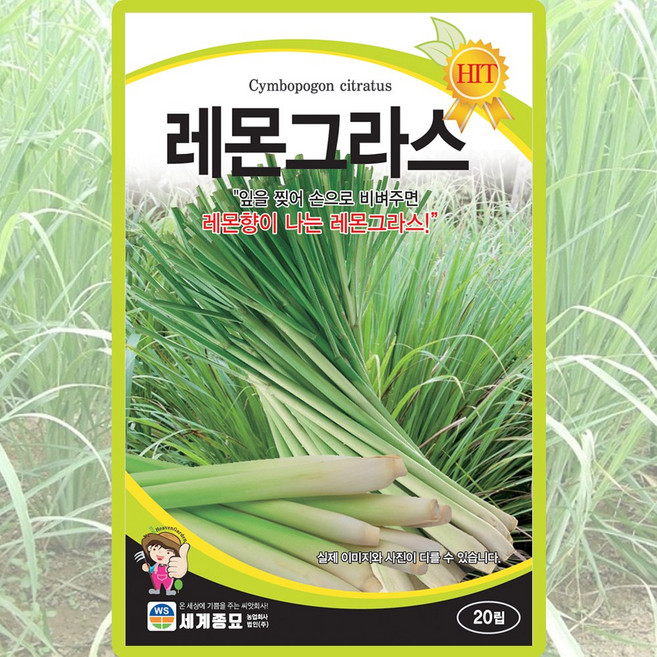 세계종묘 레몬그라스 20립 일반종 레몬향 식용꽃 허브 꽃씨 씨앗 종자 세계, 1개