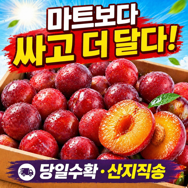 [고당도] 새콤달콤 하우스자두 햇자두 중과, 1개, 중과  300g(1팩)
