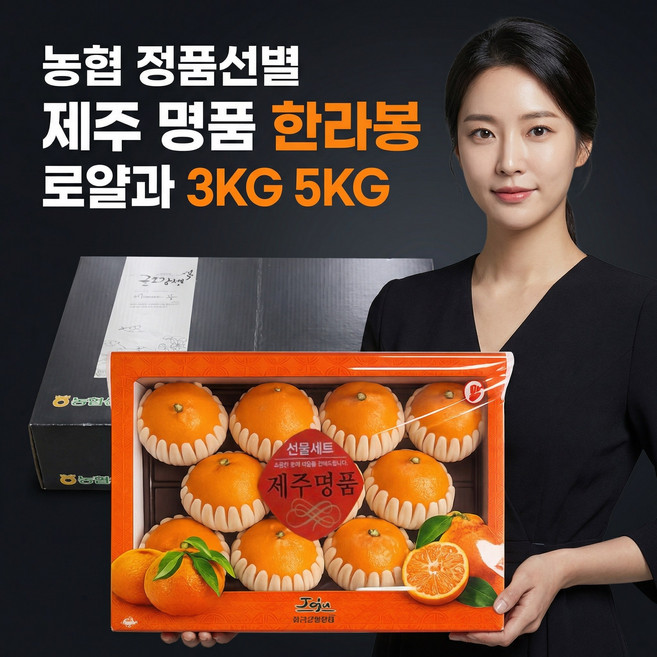농협 정품선별 한라봉 선물세트, 1박스, 3kg