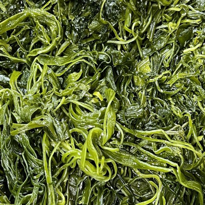 전라남도 완도산 프리미엄 씨포유 염장 채다시마, 1개, 1kg