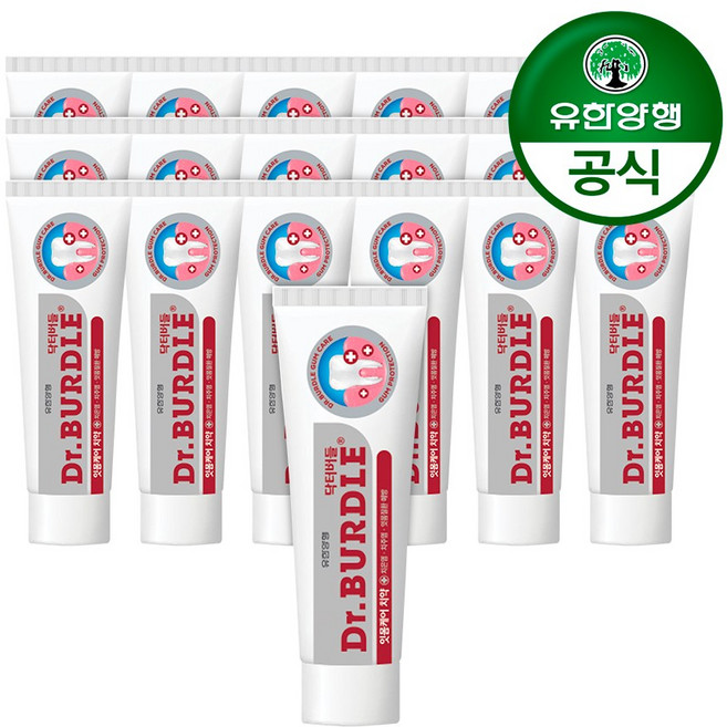 닥터버들 잇몸케어 치약, 100g, 19개