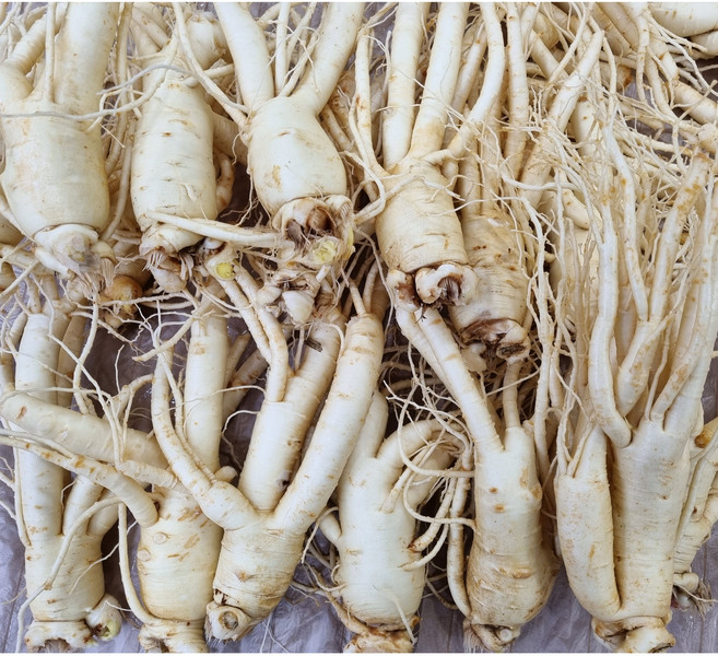 풍기햇인삼 6년근 깨끗한A급 (1Kg750g500g250g) 세척난발삼 무료세척 진공포장, 1kg, 1개