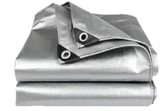 0.32mm PE 타포린 비 천 야외 정원 식물 창고 보트 자동차 트럭 천막 방수 그늘 항해 애완 동물 강아지 지, 02 silversilver, 05 2x5m