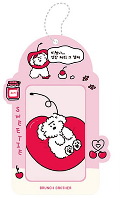 브런치브라더 Brunch Brother 포토카드 홀더 9.5 x 13.5 cm, 구름이, 1개