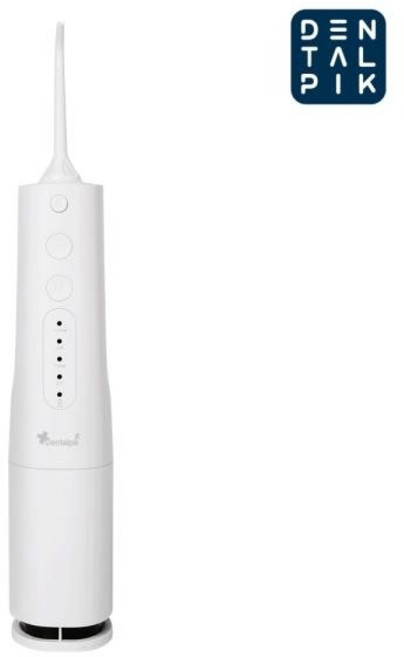 덴탈픽 휴대용 구강 세정기 DP-1900K PLUS 물치실 치석제거, 1개