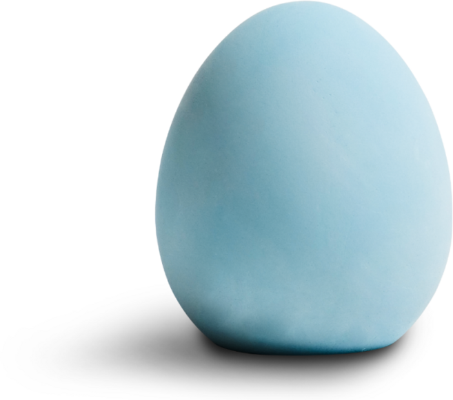 라이프스탠다드 냄새먹는 달걀, 100g, 1개