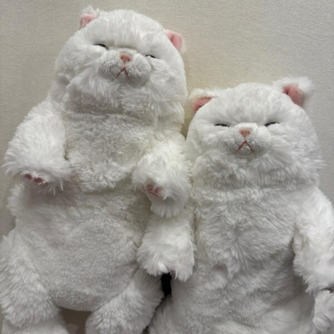 선레몬 무릎인형 쓰야쓰야 페르시안 고양이 인형