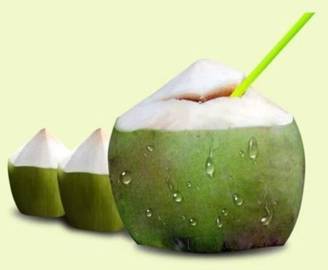 베트남 생그린코코넛 12입 (1개당 1.3kg내외)