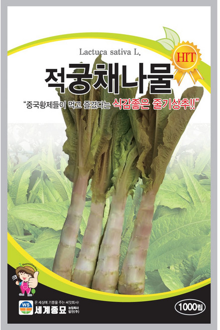 세계종묘 적궁채나물 (줄기상추) 씨앗 1000립, 1개