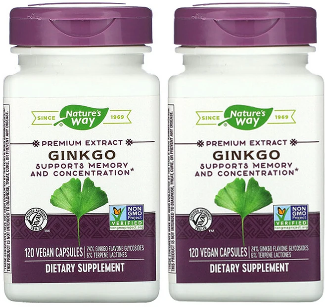 1+1 네이쳐스웨이 징코 은행나무 은행잎 추출물 120비건캡슐, 2팩, 120정 - 쿠팡