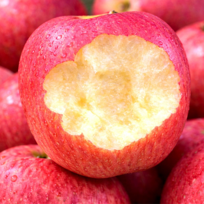 [2일초특가] 고당도선별 신선한 부사 사과, 1개, 10kg