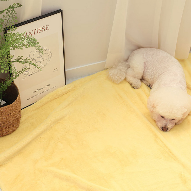 벨보아 10mm 털원단 키링 인형만들기 포토카드 극세사 책상덮개 벨보아 열풍원단 22컬러 바느질감, 09 버터, 1개