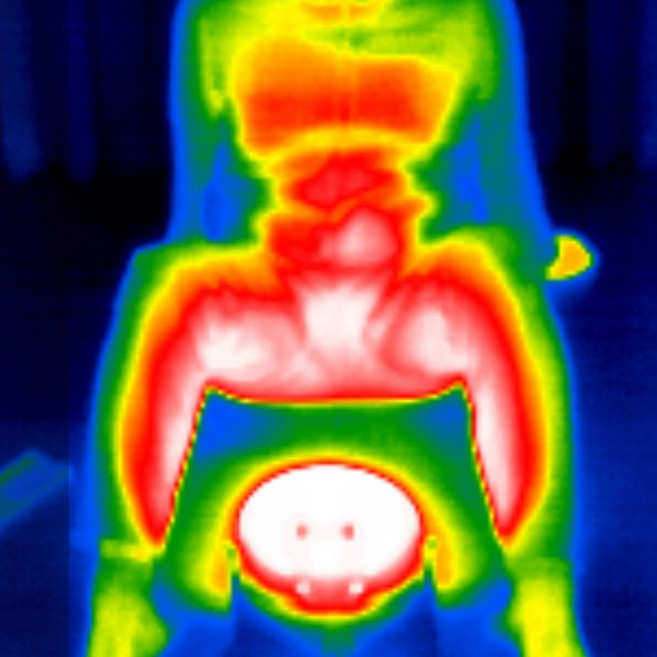 템페라스 질온관리기 건식 좌욕기