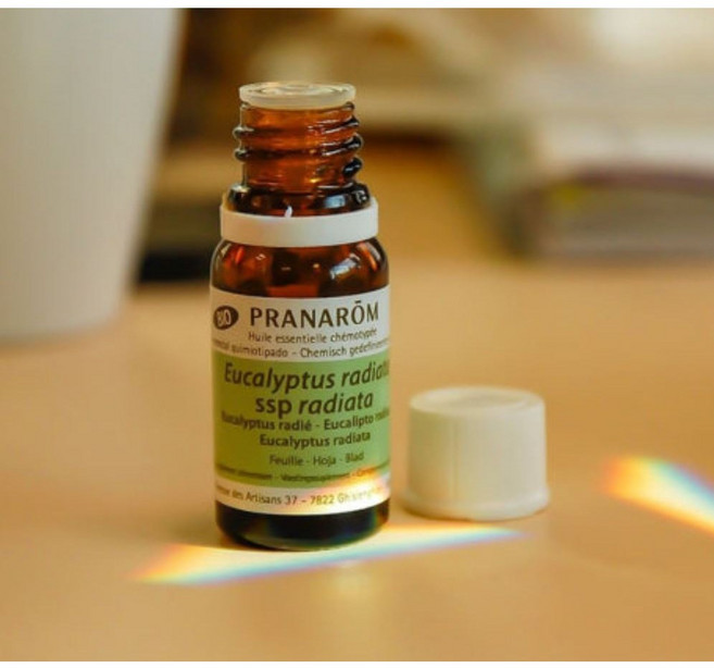 프라나롬 진정/정화/티트리 라빈트사라 오일, 라빈트사라 10ml, 10ml, 1개