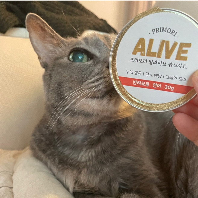 프리모리 고양이당뇨 고양이비만 고양이습식사료 고양이캔 고양이간식 고양이사료, 12개, 30g, 연어