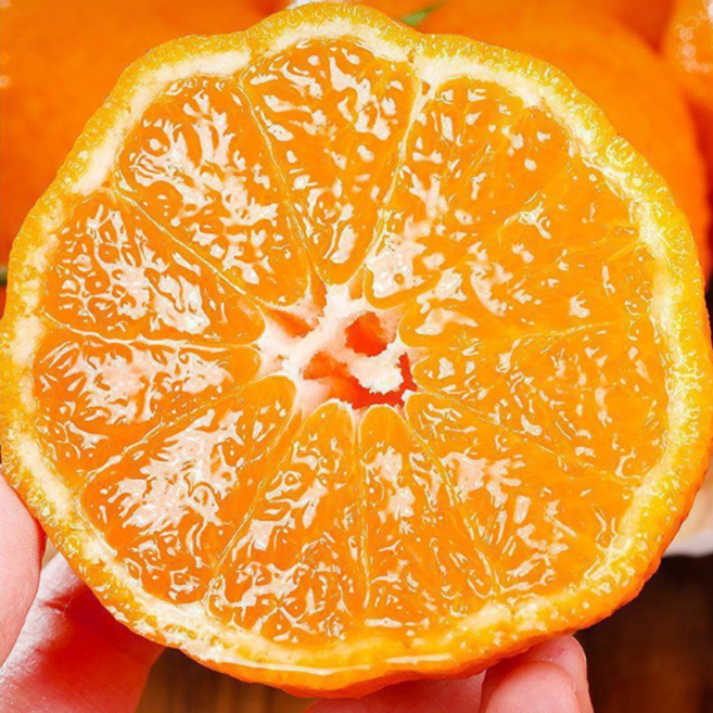 [민생안전] 초특가 가성비 제주 못난이 한라봉, 1박스, 3kg