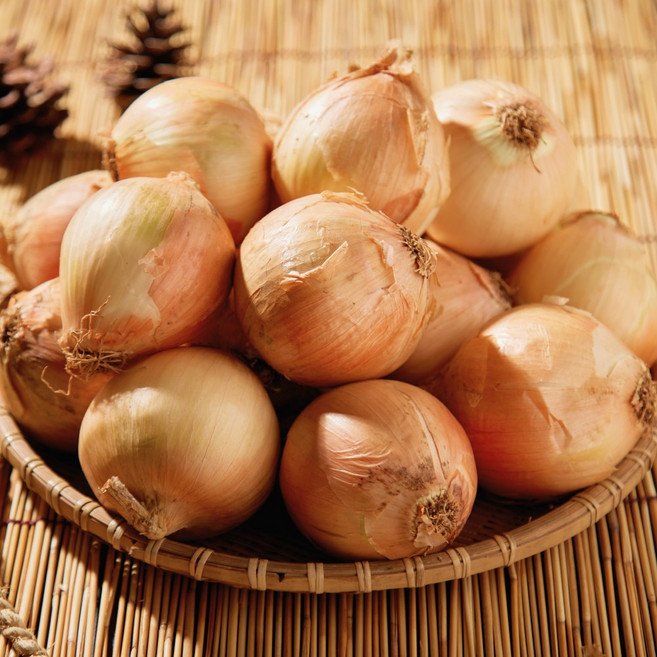 [싱그러운마켓] 신선하고 단단한 국내산 햇양파 산지직송, 1박스, 10kg 특사이즈