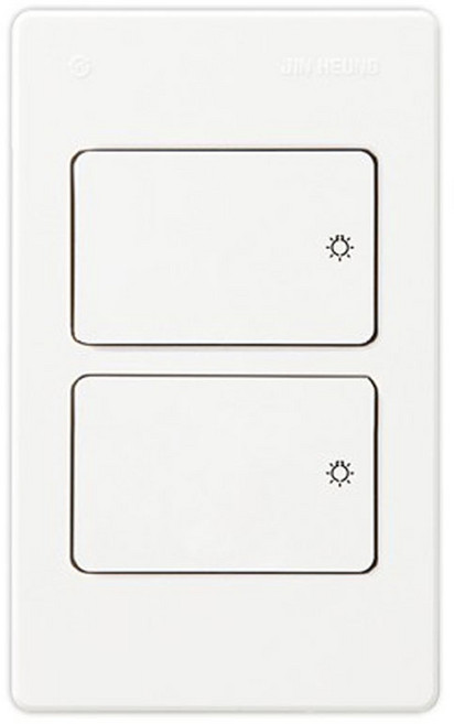 진흥전기 V시리즈 2구 스위치, 40개