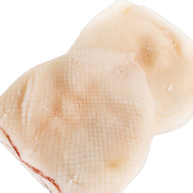 바다받아 압축 오징어몸통 도매, 10개, 700g (칼집)