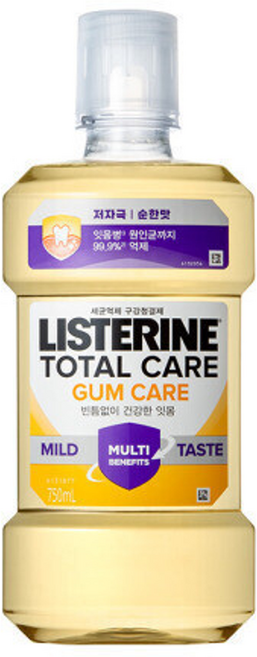 리스테린 토탈케어 검케어 마일드 치은염 순한맛 입문용 750mL, 1개