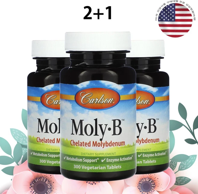 칼슨 몰리 비 몰리브덴 300 정, 3개, 300정 - 쿠팡