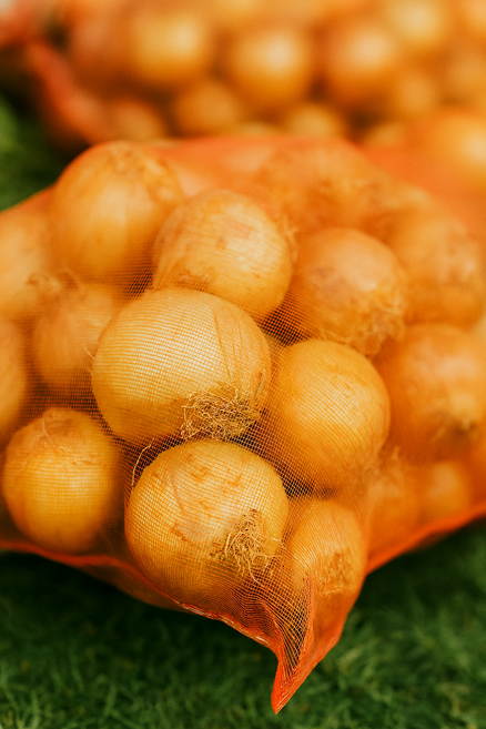 자연이준선물 맛있는 국내산 양파 (특), 1개, 5kg